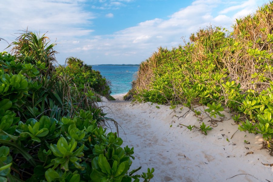 Okinawa, Autumn 2012, Japan. Photograph by Jordy Meow