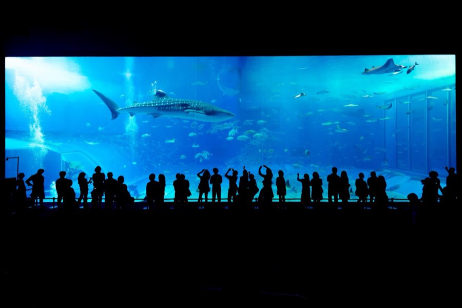 Okinawa, Autumn 2012, Japan. Photograph by Jordy Meow
