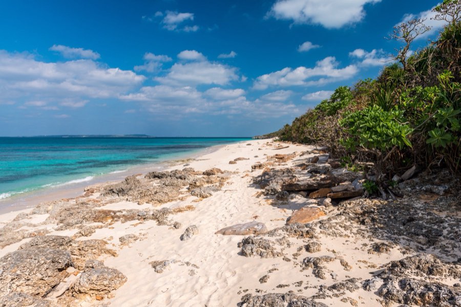 Okinawa, Autumn 2012, Japan. Photograph by Jordy Meow