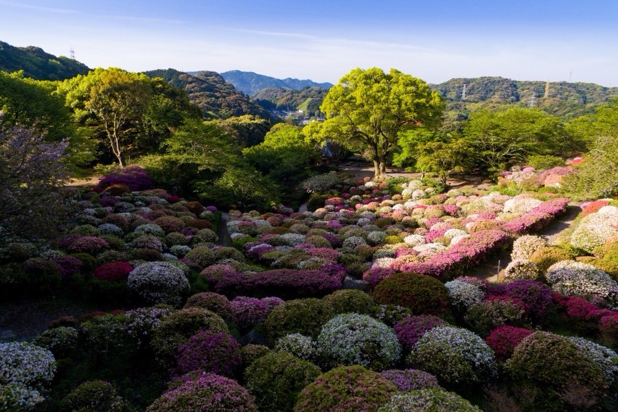 Saga, Spring 2016, Japan. Photograph by Jordy Meow