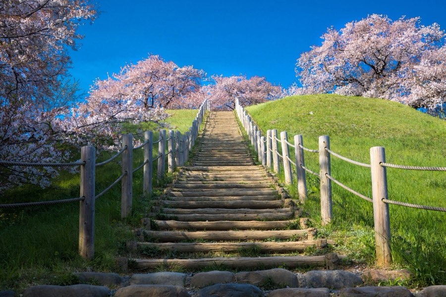 Saitama, Spring 2017, Japan. Photograph by Jordy Meow