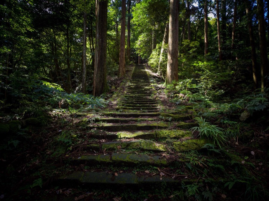 Shimane, Summer 2020, Japan. Photograph by Jordy Meow
