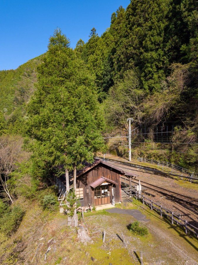 Shizuoka, Spring 2026, Japan. Photograph by Jordy Meow