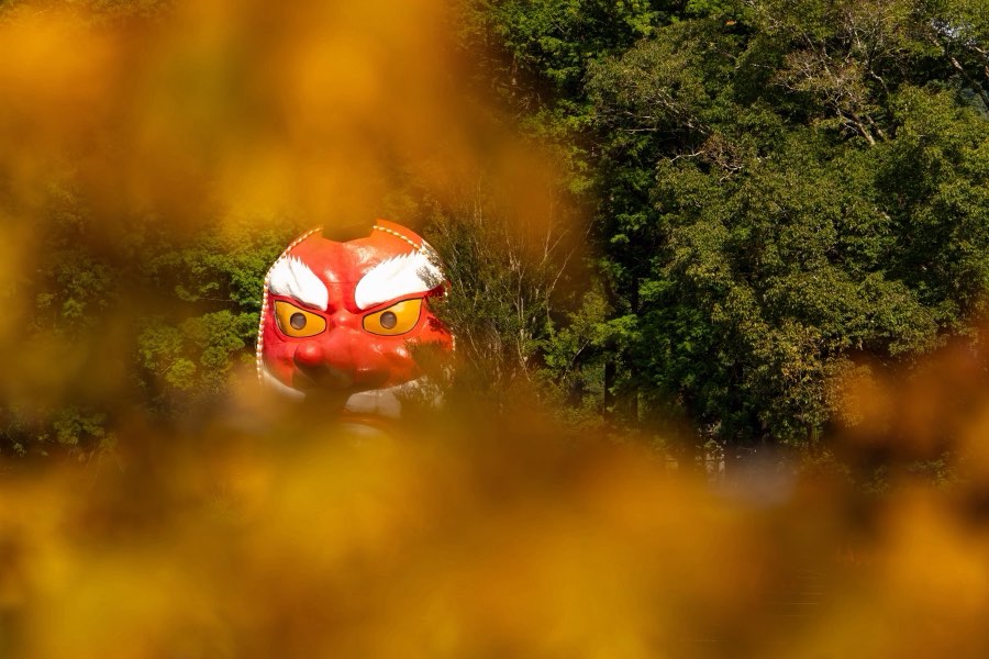 Shizuoka, Autumn 2025, Japan. Photograph by Jordy Meow