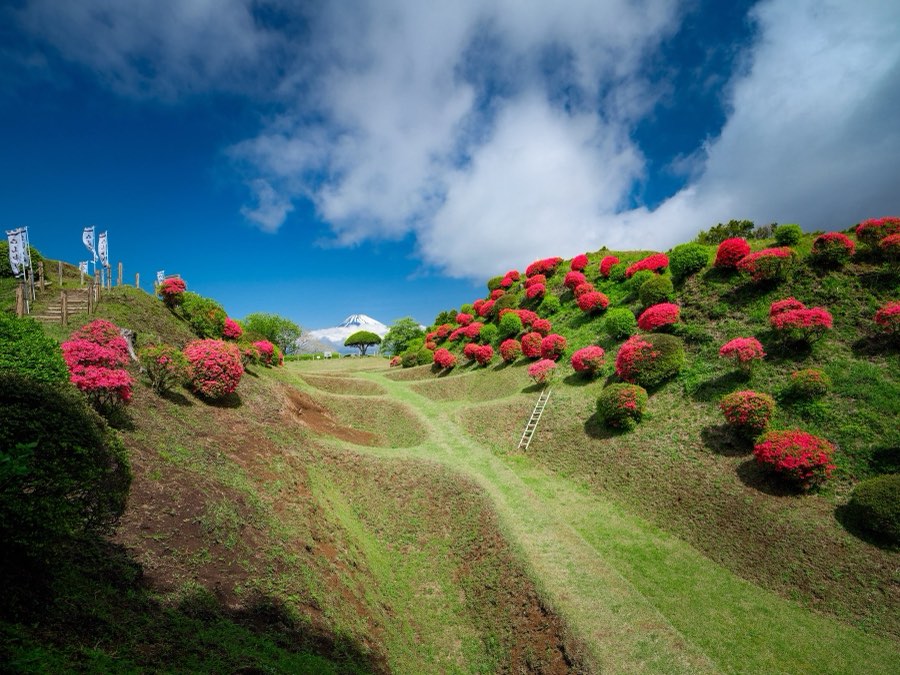 Shizuoka, Spring 2022, Japan. Photograph by Jordy Meow