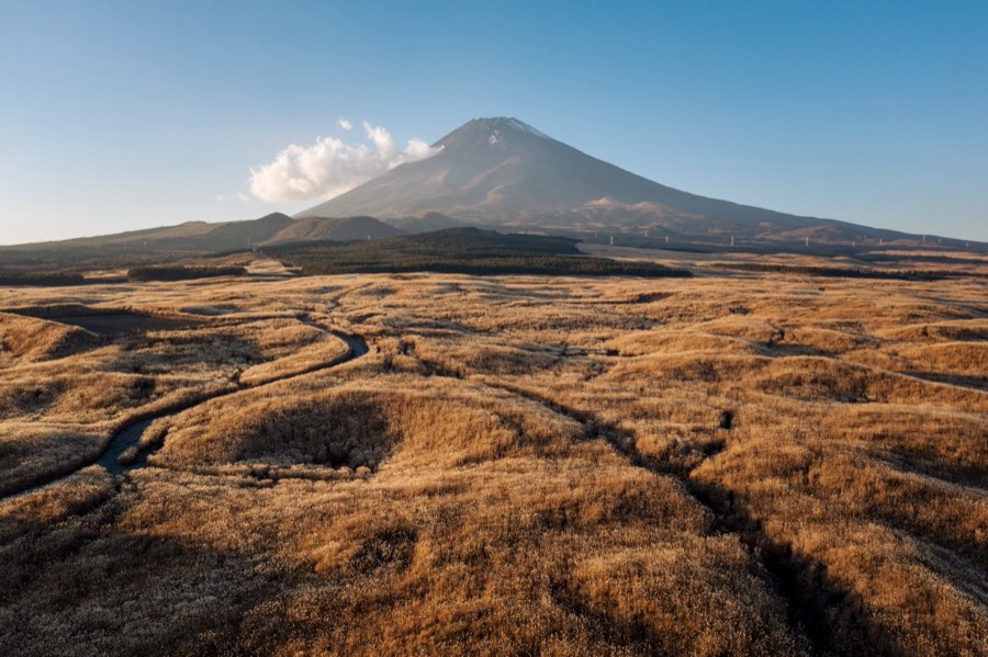 Shizuoka, Autumn 2020, Japan. Photograph by Jordy Meow