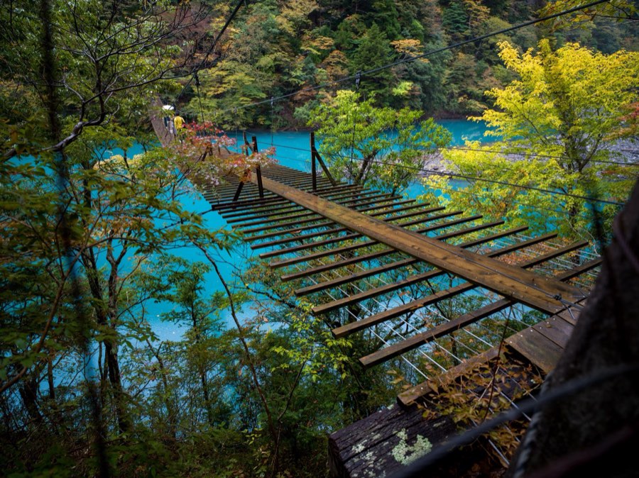Shizuoka, Autumn 2019, Japan. Photograph by Jordy Meow