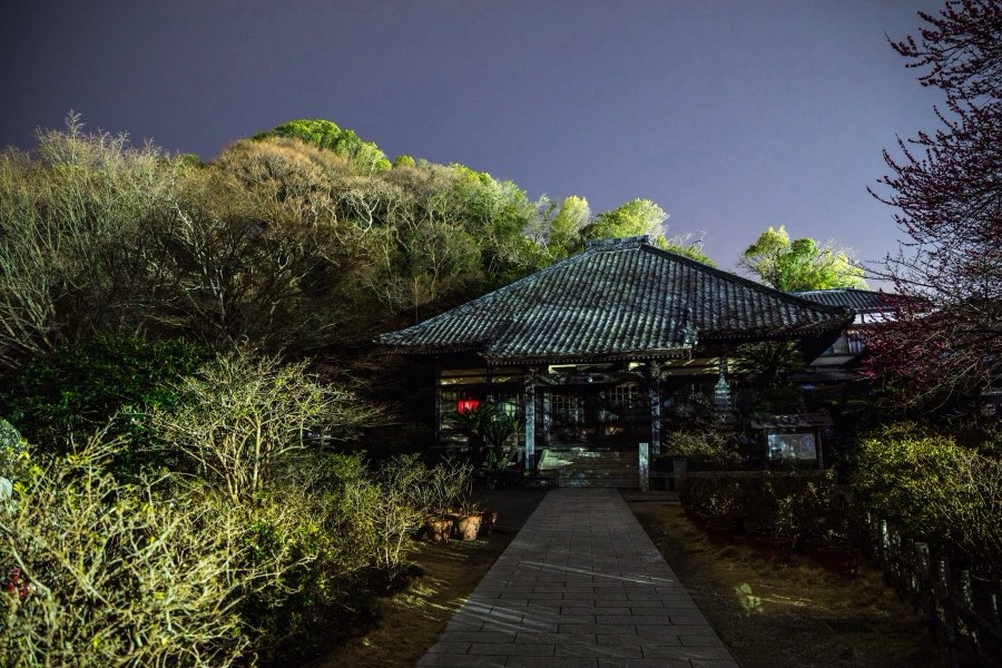 Shizuoka, Spring 2018, Japan. Photograph by Jordy Meow