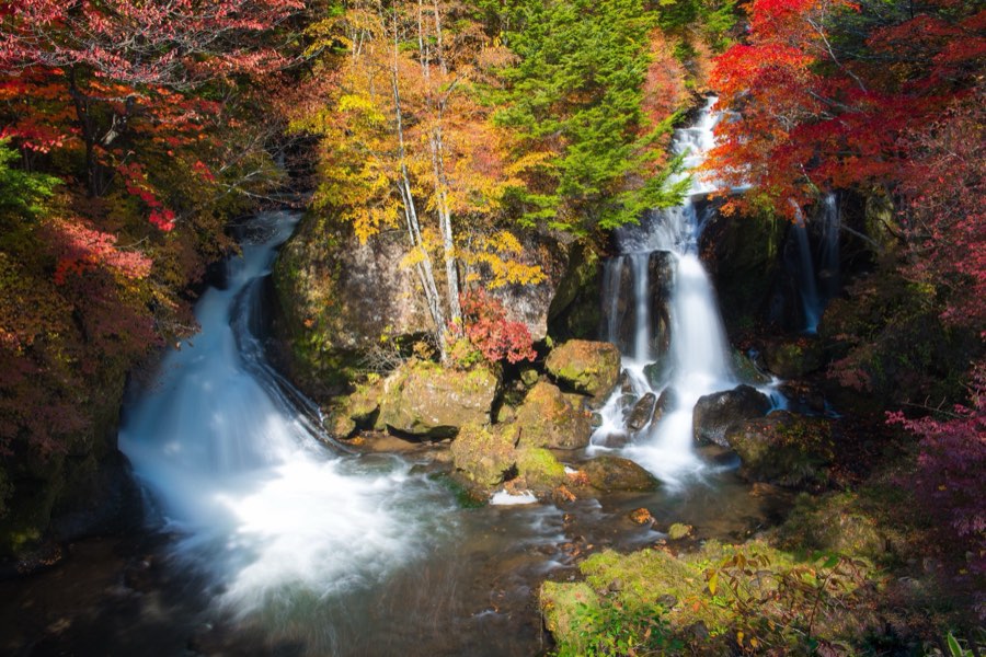 Tochigi, Autumn 2012, Japan. Photograph by Jordy Meow