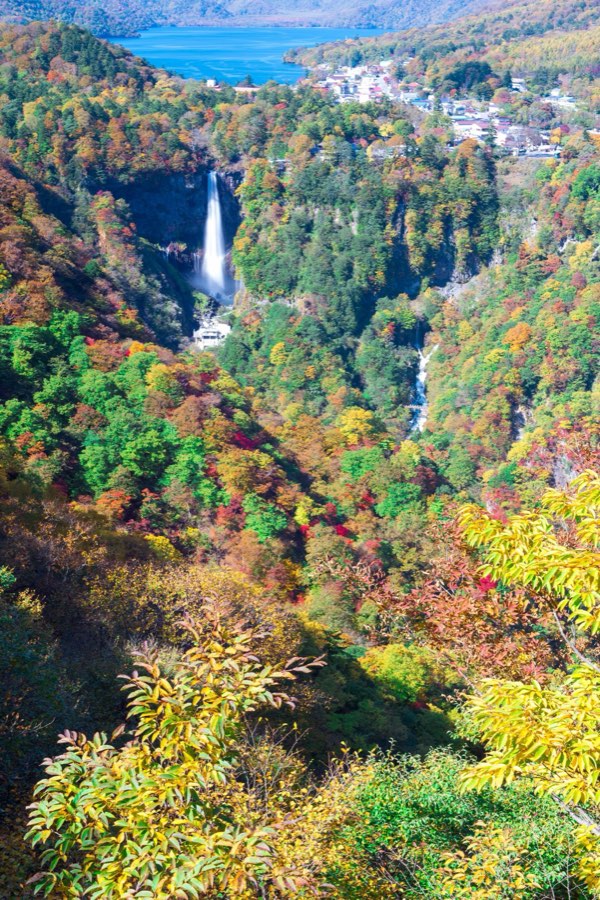 Tochigi, Autumn 2012, Japan. Photograph by Jordy Meow