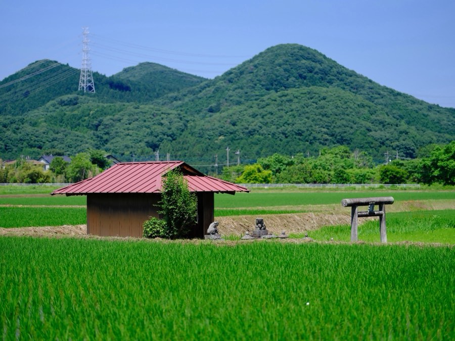 Tochigi, Summer 2021, Japan. Photograph by Jordy Meow