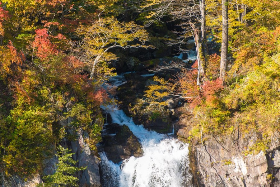 Tochigi, Autumn 2012, Japan. Photograph by Jordy Meow