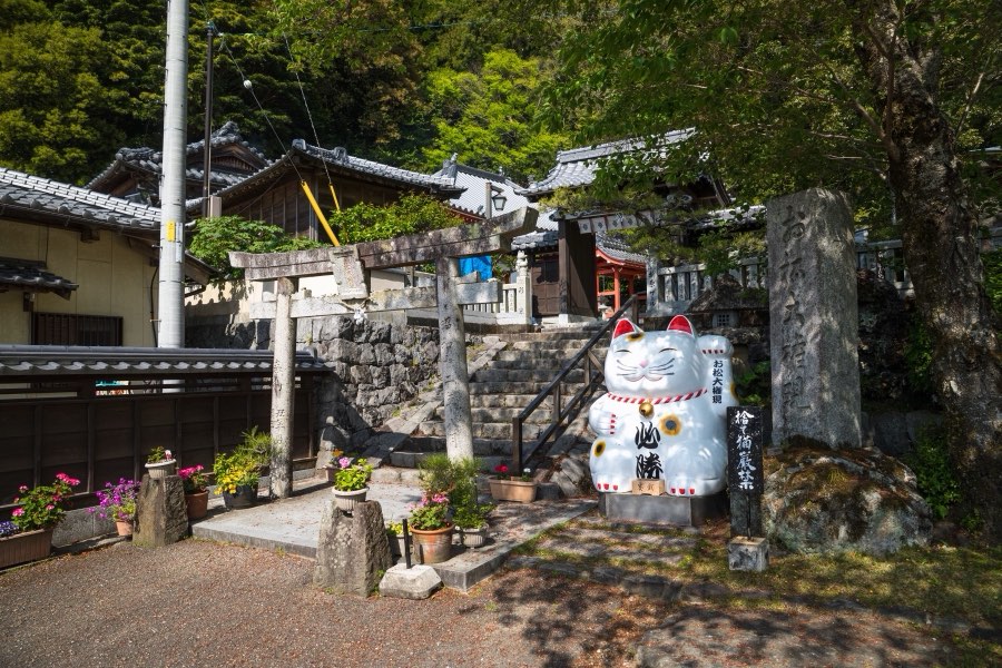 Tokushima, Spring 2019, Japan. Photograph by Jordy Meow