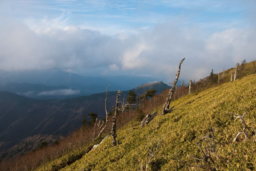 Tokushima, Autumn 2015, Japan. Photograph by Jordy Meow
