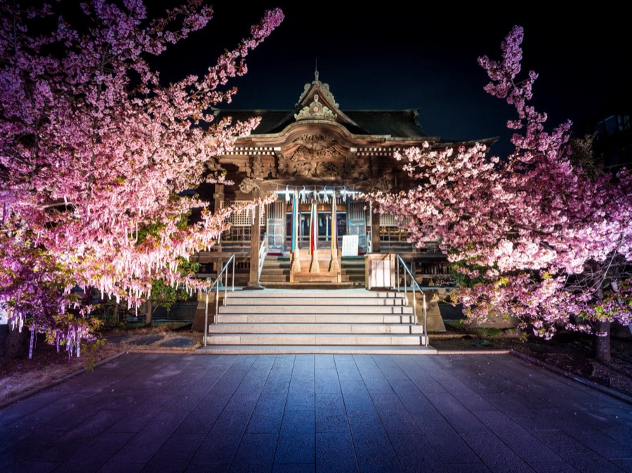 Tokyo, Spring 2020, Japan. Photograph by Jordy Meow
