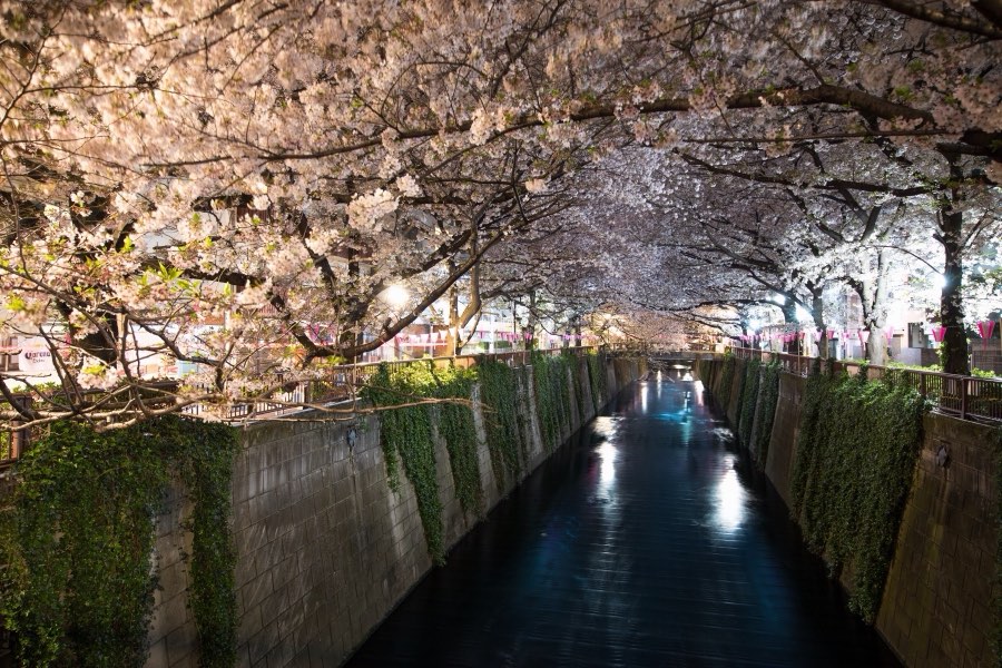 Tokyo, Spring 2017, Japan. Photograph by Jordy Meow