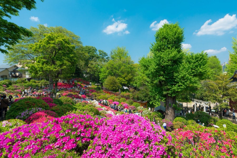 Tokyo, Spring 2014, Japan. Photograph by Jordy Meow
