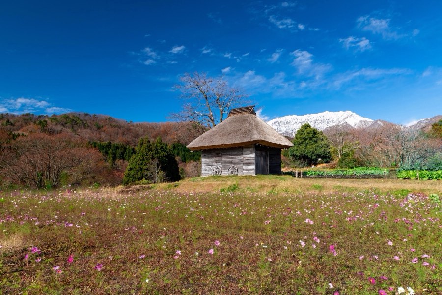 Tottori, Autumn 2018, Japan. Photograph by Jordy Meow