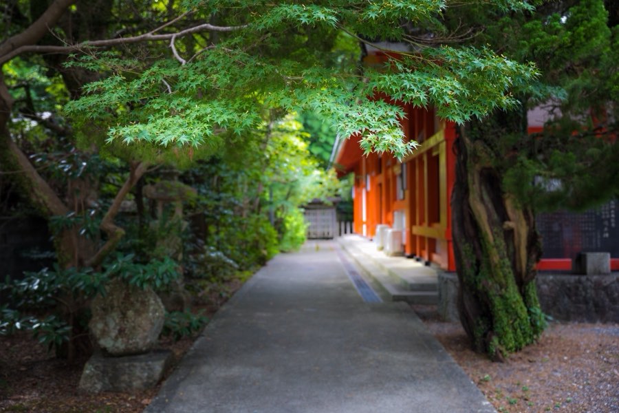 Wakayama, Autumn 2017, Japan. Photograph by Jordy Meow