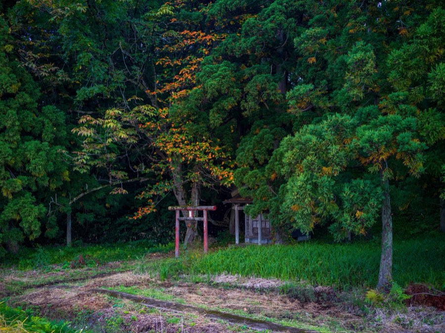 Yamagata, Autumn 2020, Japan. Photograph by Jordy Meow