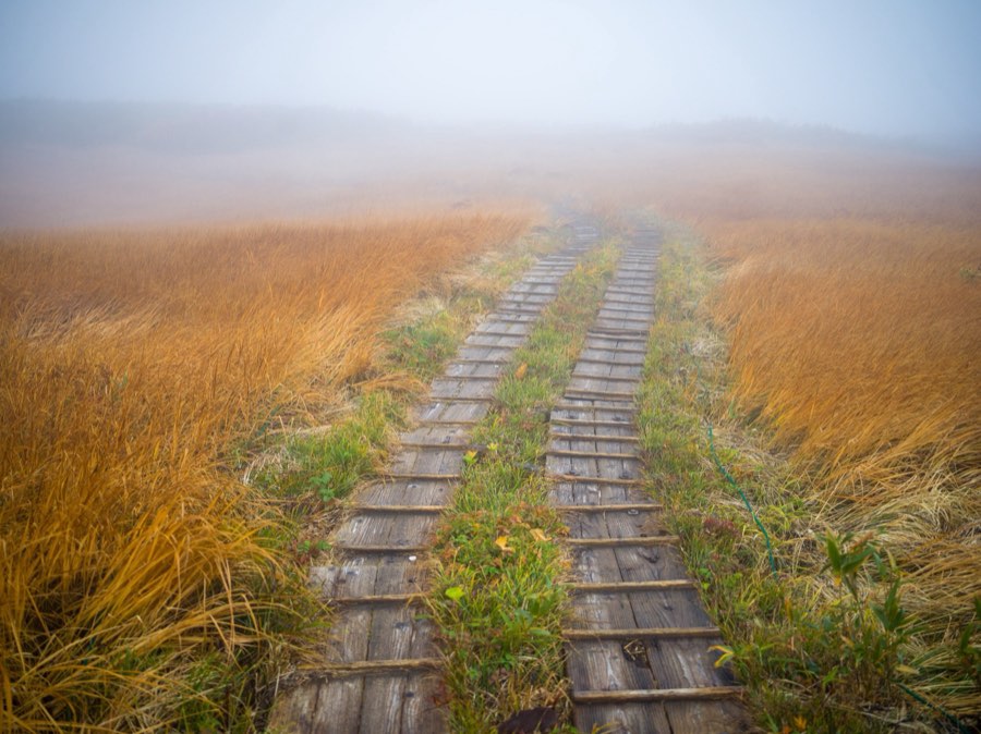 Yamagata, Autumn 2020, Japan. Photograph by Jordy Meow