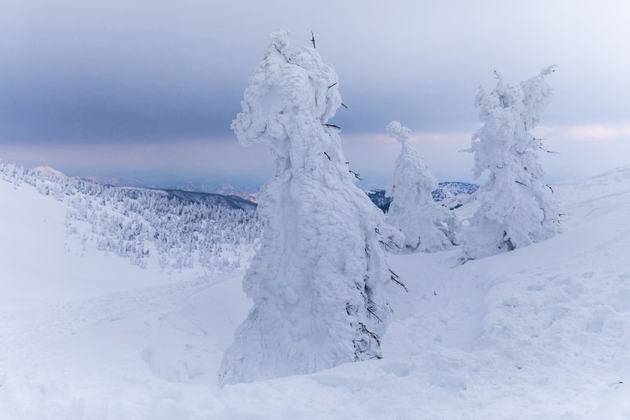Yamagata, Winter 2018, Japan. Photograph by Jordy Meow