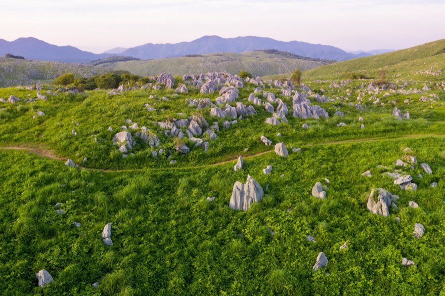 Yamaguchi, Summer 2020, Japan. Photograph by Jordy Meow