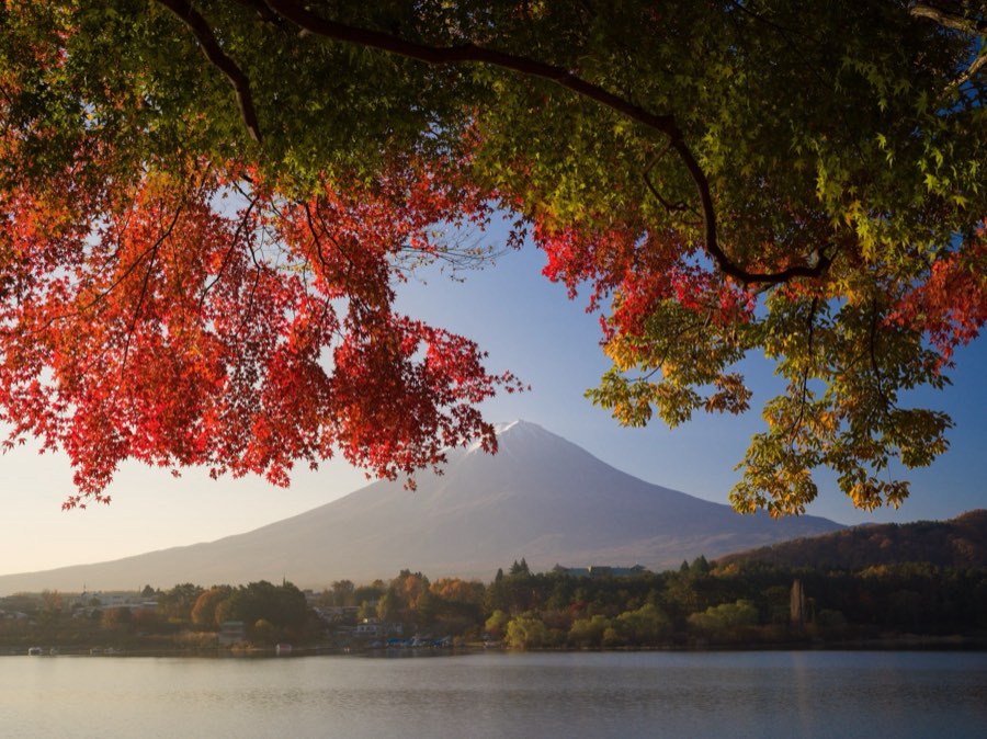 Yamanashi, Autumn 2020, Japan. Photograph by Jordy Meow