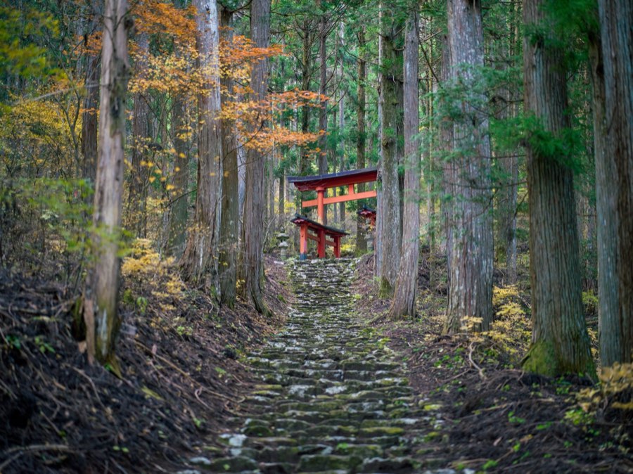 Yamanashi, Autumn 2020, Japan. Photograph by Jordy Meow