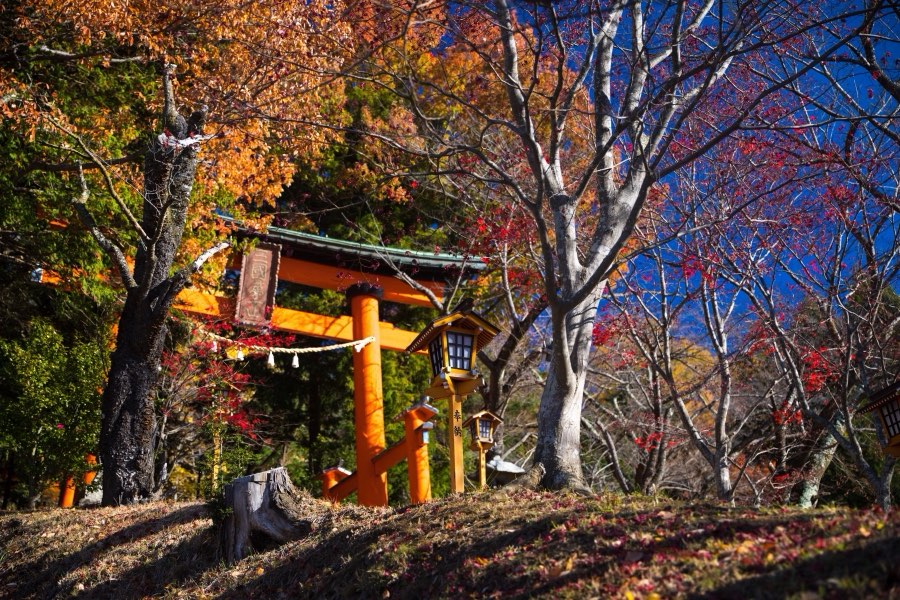 Yamanashi, Autumn 2017, Japan. Photograph by Jordy Meow