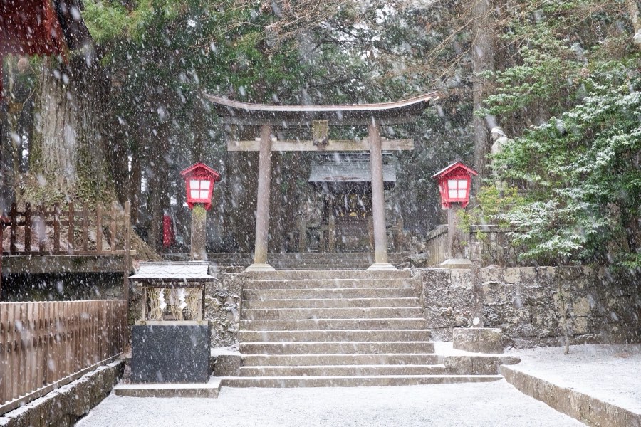 Yamanashi, Winter 2017, Japan. Photograph by Jordy Meow