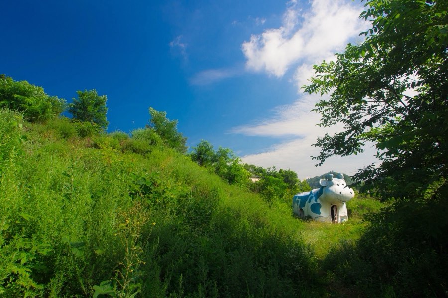 Yamanashi, Summer 2013, Japan. Photograph by Jordy Meow