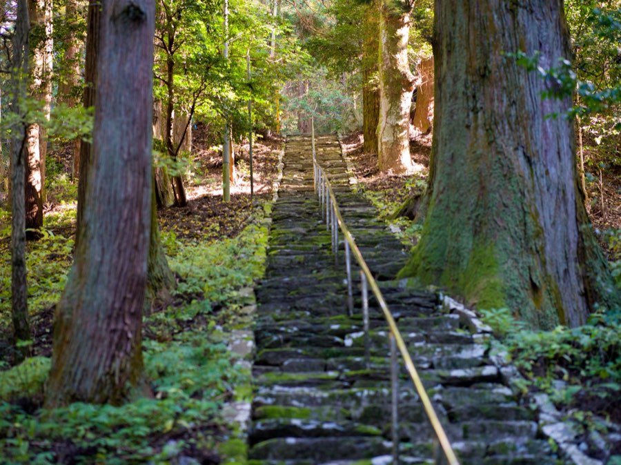 Yamanashi, Autumn 2020, Japan. Photograph by Jordy Meow