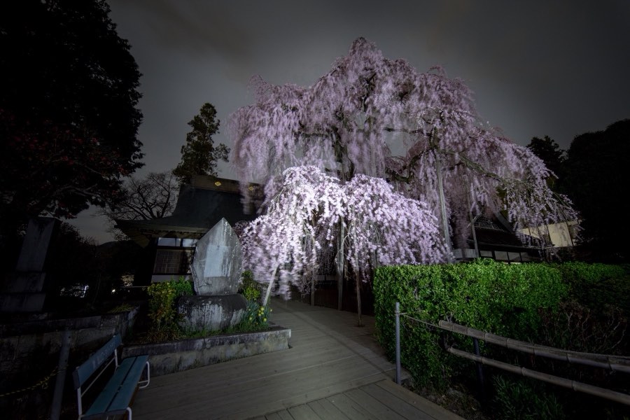 Yamanashi, Spring 2017, Japan. Photograph by Jordy Meow